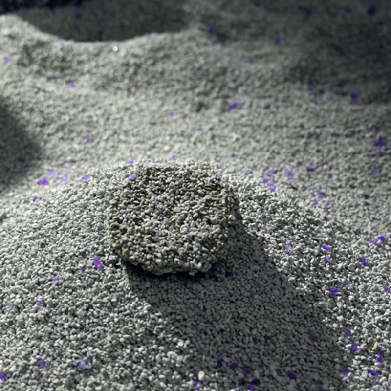 A legjobb ásványi macskaalom kiválasztása: gyakorlati tippek a tisztább otthonért